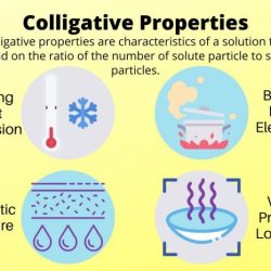 Colligative properties worksheet answer key