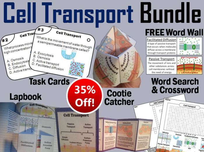 Cell transport task cards answer key