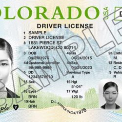 Colorado cdl permit practice test