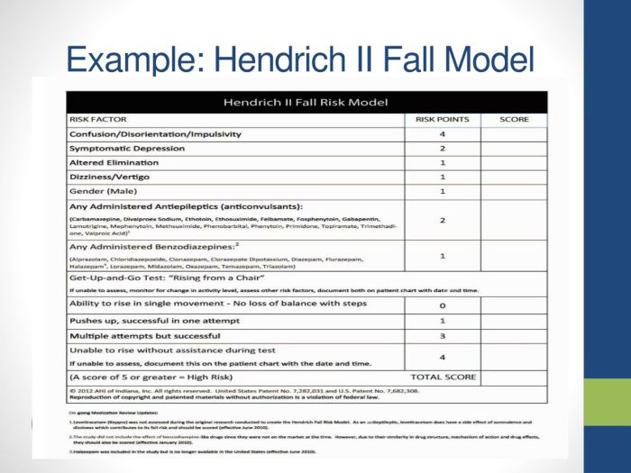 Hendrich 2 fall risk model