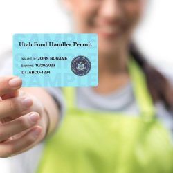 Food handlers permit online tulsa