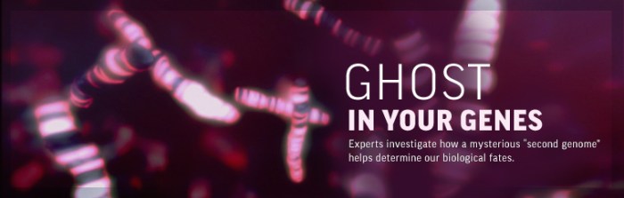 Nova ghost in your genes answer key