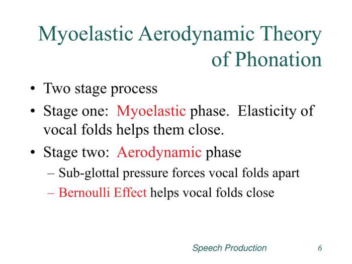 The myoelastic-aerodynamic theory of phonation