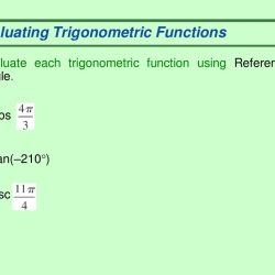 Angles and trigonometric functions assignment